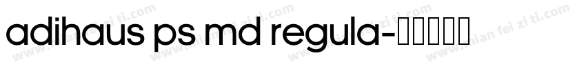 AdiHaus PS Md Regula字体转换